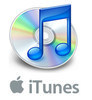 list icon
