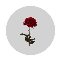 list icon