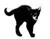 list icon