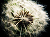 list icon