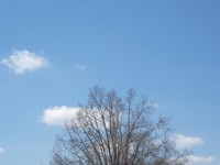 list icon
