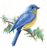 list icon
