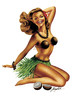list icon