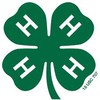 list icon