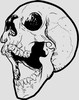 list icon