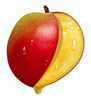 list icon