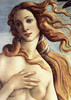 list icon