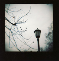 list icon