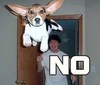 list icon