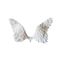 list icon