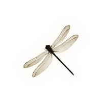 list icon