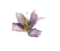 list icon
