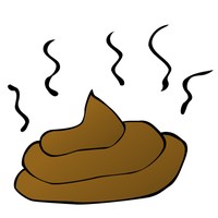 list icon