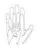 list icon