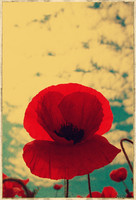 list icon