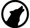 list icon