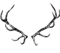 list icon