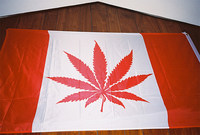 list icon