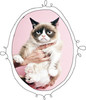 list icon