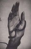 list icon