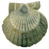 list icon