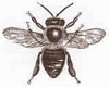 list icon
