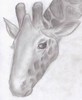 list icon