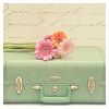 list icon