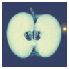 list icon
