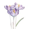 list icon