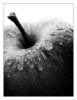 list icon