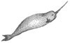 list icon