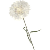 list icon