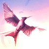 list icon