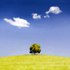 list icon