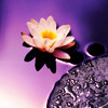 list icon