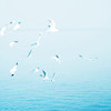 list icon
