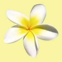 list icon