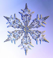 list icon