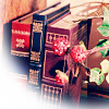 list icon