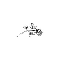 list icon