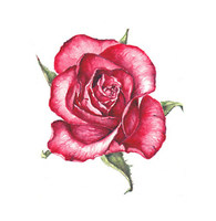 list icon