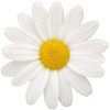 list icon