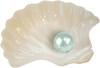 list icon