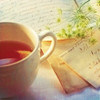 list icon