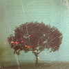 list icon