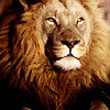 list icon