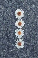 list icon