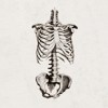 list icon