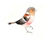 list icon
